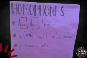 An anchor chart with homophones is pictured.